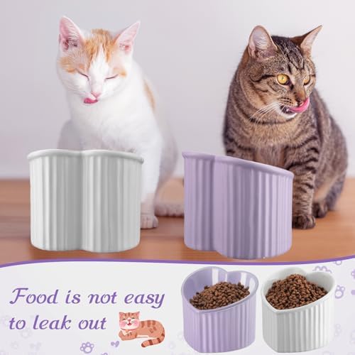 Mumufy 2 Pcs Ceramic Elevated Cat Bowls Tilted Elevated Raised Pet Bowls Anti Vomit Cat Dish for Indoor Stress Free Water Dish Feeder for Puppies, Heart Shaped(White, Purple) - Image 6