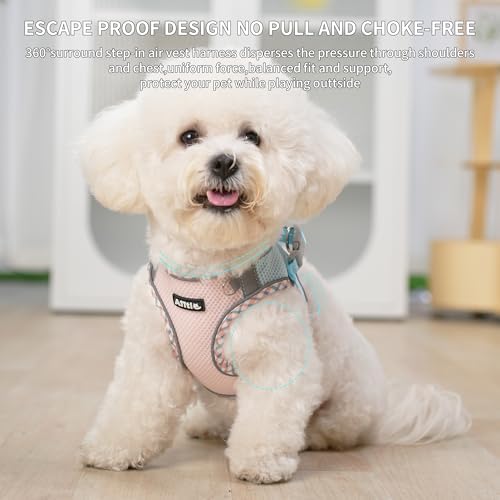 AIITLE Small Dog Harness and Leash Set with Magic Tape, Blue-Pink XS - Image 6