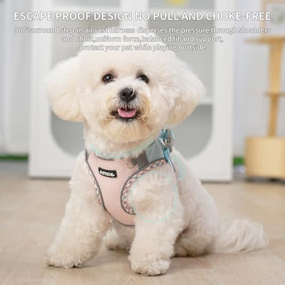 AIITLE Small Dog Harness and Leash Set with Magic Tape, Blue-Pink XS - Image 6