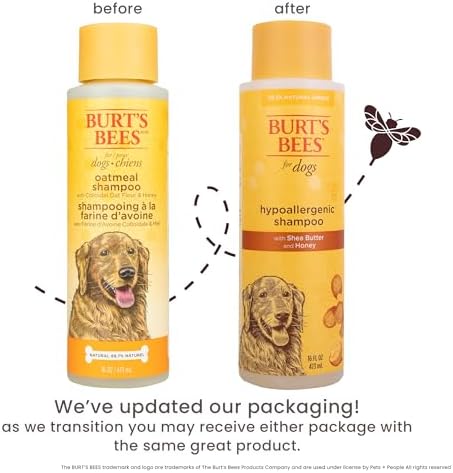 Burts Bees for Pets Hypoallergenic Dog Shampoo, Shea Butter Honey, 16 Fl Oz - Image 2