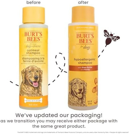 Burts Bees for Pets Hypoallergenic Dog Shampoo, Shea Butter Honey, 16 Fl Oz - Image 2