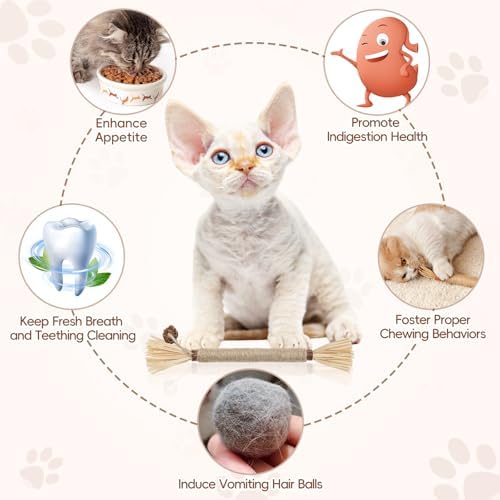 5 Pack Silvervine Sticks Cat Toys, Natural Chew Kitten Teething Toys for Cleaning, Matatabi Catnip Treat Toys, Catmint Silver Vine Sticks for Bored Indoor Kitty - Image 6