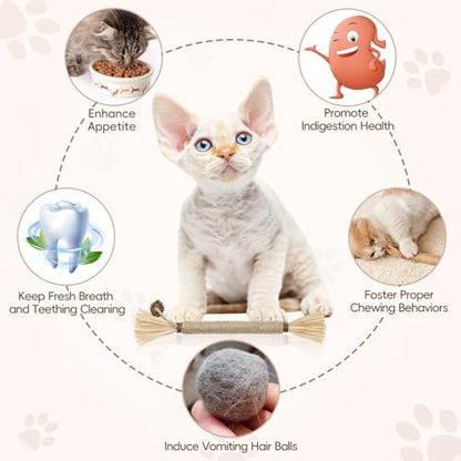 5 Pack Silvervine Sticks Cat Toys, Natural Chew Kitten Teething Toys for Cleaning, Matatabi Catnip Treat Toys, Catmint Silver Vine Sticks for Bored Indoor Kitty - Image 6