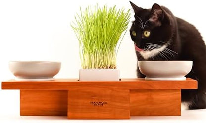 Solid Cherry Wood Raised Cat Feeding Station with Built-in Grass Planter - Image 6
