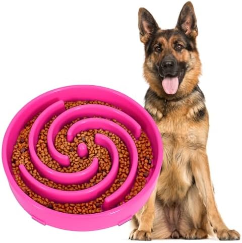 JASGOOD Slow Feeder Dog Bowl for Large Medium Dogs, Anti-Gulping Pet Slower Food Feeding Bowls, Stop Bloat, Preventing Choking, Healthy Design, R-Rose red by JASGOOD