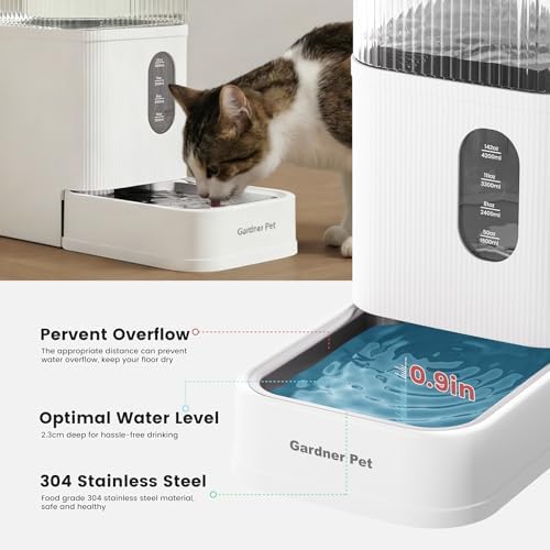 2.9 Gallon Automatic Dog Water Dispenser with Stainless Steel Bowl - Image 3