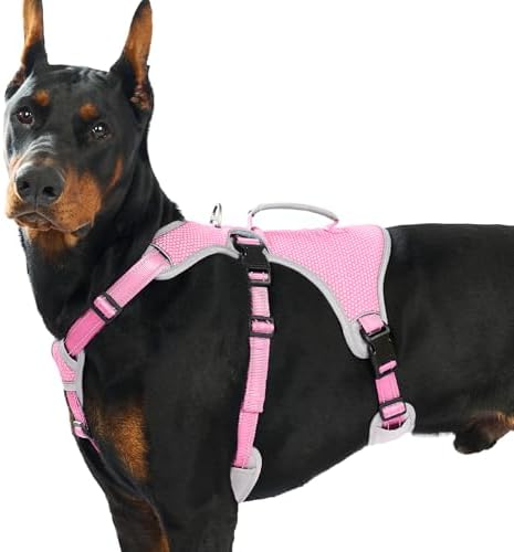 Huntboo Escape Proof Dog Harness, Dachshund Harness, Reflective Dog Harness with Handle, Durable,Adjustable Vest for Small Medium Large Dogs Walking, Training, and Running Gear (Pink,XL) by Huntboo