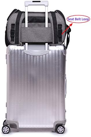 EliteField Soft-Sided Pet Carrier for Cats & Small Dogs (3-Year Warranty) - Image 5