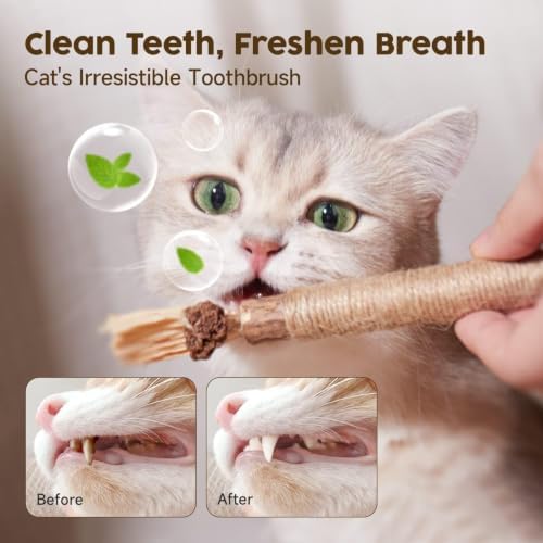 Potaroma 3 Pack Natural Silvervine Sticks Cat Toys, Catmint Silvervine Blend Sticks, Catnip Kittens Chew Toys Teeth Cleaning, Matatabi Dental Care Cat Treat Edible Kitty Lick Toys, Package May Vary - Image 4