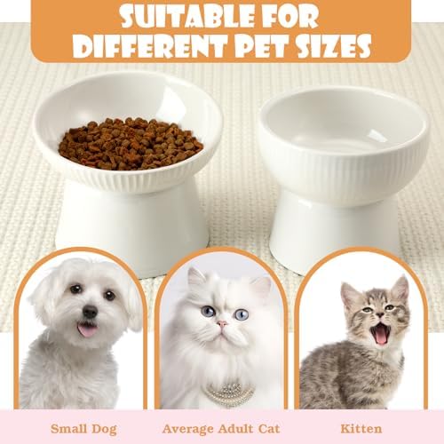 2 Pcs Cat Elevated Ceramic Bowls Raised Cat Food and Water Dishes, High Edge, Anti Vomiting Cats Feeder Bowl for Pets Kitten Puppies Dry Wet Food and Water, Dishwasher Safe - Image 3