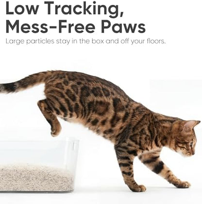 FUKUMARU Tofu Cat Litter, Bentonite Blend, Clumping, Odor Control, 18 lb - Image 6