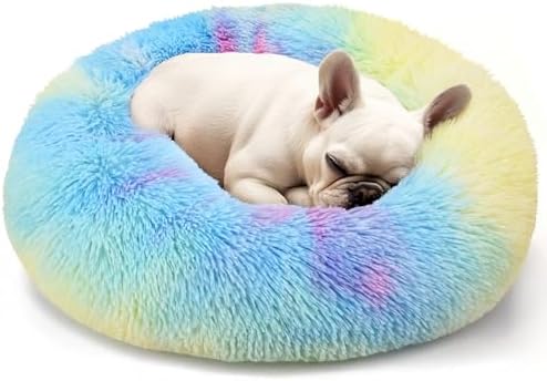 Hoewina Dog & Cat Bed, 20in Cat Beds for Indoor Cats (Rainbow) by Hoewina