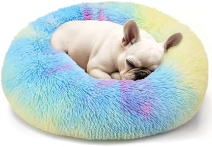 Hoewina Dog & Cat Bed, 20in Cat Beds for Indoor Cats (Rainbow) by Hoewina