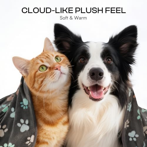 Luciphia 1 Pack 6 Dog Blankets Cat Soft Fluffy Fleece Pet Blanket Warm Cute Print Design Puppy Kitten Doggy Paw Medium(30"x20") - Image 2