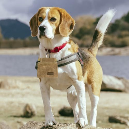 Dog Treat Pouch, Portable Auto Closing Dog Training Treat Bag with Carabiner, Hands Free Pocket Sized Snack Reward Pouch for Puppy Walking Travel Outdoor Use, Brown - Image 4