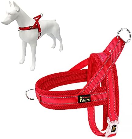 Plutus Pet No Pull Dog Harness for Medium Sized Dog, Breathable Mesh Padded by PLUTUSPET