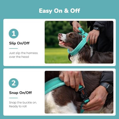 Didog No Pull Dog Harness for Small Dogs, Soft Flannel Padded, Teal, S - Image 3