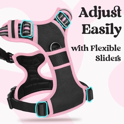 rabbitgoo Dog Harness for Large, Updated Easy On & Off with 3 Buckles - Image 3