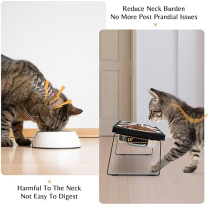 Elevated Black Cat Food Bowl for Indoor Cats, 3 Raised Water Bowl for Pet - Image 2