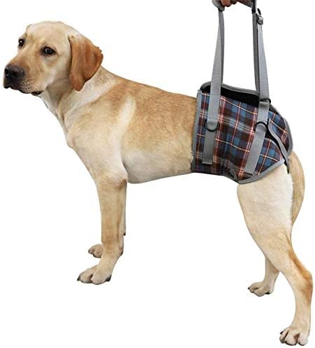 ROZKITCH Dog Lift Harness, Grid Pet Rear Support Aid Veterinarian Approved Sling for Old K9 Help with Poor Stability, Back Leg Hip Disabled Joint Injury Elderly Arthritis ACL Rehabilitation Rehab L by ROZKITCH