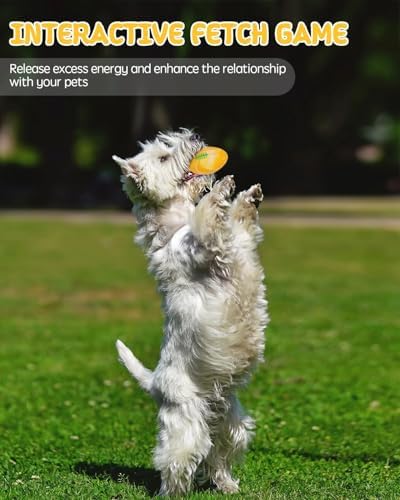 SCHITEC Dog Squeaky Toy Balls, Interactive Squeak Puppy Balls for Fetch Play, Latex Rubber Pet Toy for Puppies Mini Breed Small Dogs - Image 6