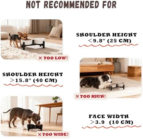 Raised Ceramic Dog Bowl Set with Stand, 1.6 Cups Elevated Dog Food Stand - Image 6