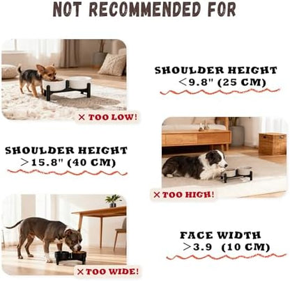 Raised Ceramic Dog Bowl Set with Stand, 1.6 Cups Elevated Dog Food Stand - Image 6