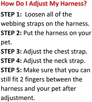 Best Pet Supplies Voyager Adjustable Step-in Flex Breathable Mesh Dog Harness for Small Medium Large Dogs Leash Set (Fuchsia), M - Image 2