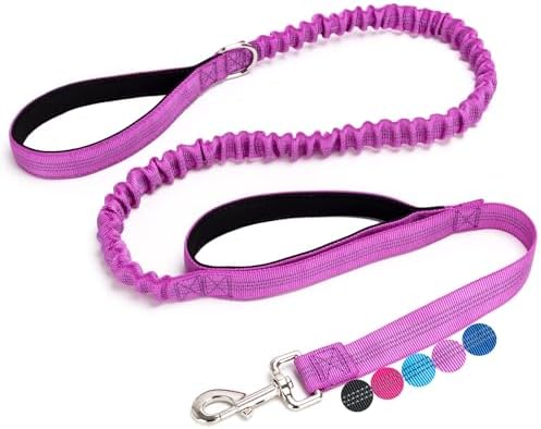 5FT Bungee Dog Leash with 2 Handles, Reflective Nylon Traffic Leash by boswany