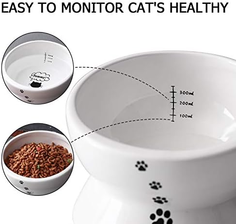 Y YHY Elevated Cat Food Bowl, Raised Food and Water Bowl for Cat and Small Dog, Tilted Ceramic Water Bowls No Spill,15oz, Dishwasher Safe - Image 6