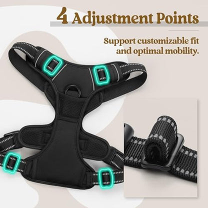 rabbitgoo Dog Harness, No Pull for Small Dogs with 2 Leash Clips, Pet Vest - Image 4