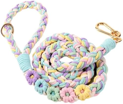 5FT Braided Cotton Rope Leash for Small, Medium and Large Dogs, Rainbow Color by Panda+Jianghu