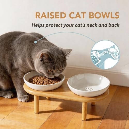 Havniva Elevated Cat Bowls, Ceramic Cat Bowl with Bamboo Stand Wide Opening - Image 4