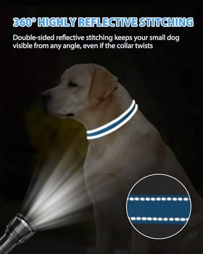 Joytale Feather-Light Dog Collar for Medium & Large Dogs, 1", Sky Blue - Image 5