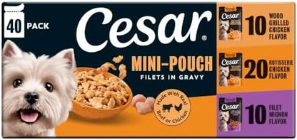 Cesar Mini-Pouch Wet Dog Food, Filet Variety Pack, 1.76 oz, 40 Count by Cesar
