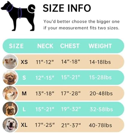 IVY&LANE No Pull Dog Harness for Medium Dogs,Reflective Dog Vest Harness - Image 2