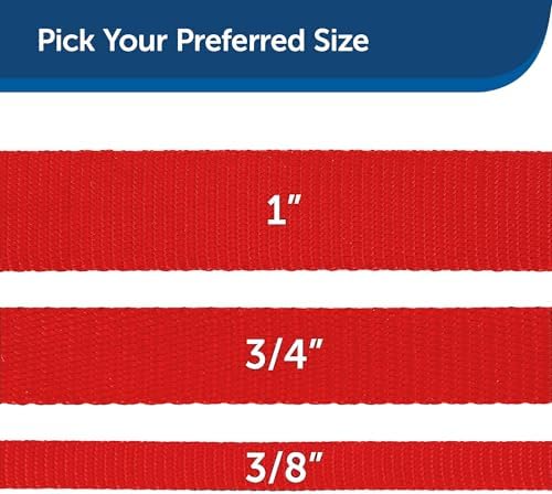 PetSafe Nylon Dog Leash - Strong, Durable, Traditional Style Leash with Easy to Use Bolt Snap - 3/8 in. x 6 ft., Red - Image 5