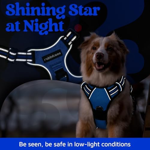 rabbitgoo Dog Harness Small Sized, No Pull 3 Buckles Easy On & Off - Image 6