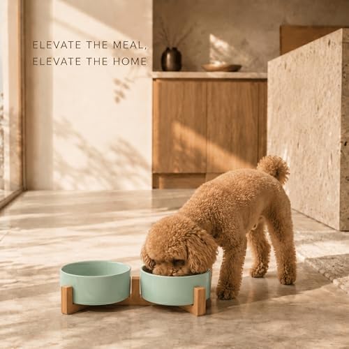 SPUNKYJUNKY Ceramic Dog and Cat Bowl Set with Wooden Stand, Modern Cute Weighted Food Water Set for Small Size Dogs (13.5OZ) & Medium Sized Dogs (28.7OZ) & Cats (1.7 Cups, 2 × Morandi Green) - Image 2