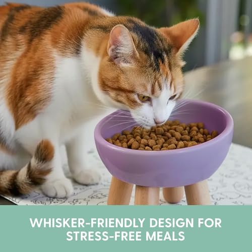 The Cat Ladies Tilted Ceramic Cat Bowl - Elevated Food Bowls Ceramic Pet Bowl - Raised Ceramics Bowls - Elevated & Tilted Design for Comfortable Eating - Dishwasher Safe - Wide Opening - Image 4