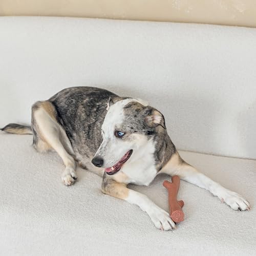 SPOT Bam-Bones Plus Branch -Bamboo Fiber & Nylon, Durable Long Lasting Dog Chew for Aggressive Chewers – Great Toy for Adult Dogs & Teething Puppies Under 90lbs, Non-Splintering, 9.5in, Beef Flavor - Image 2