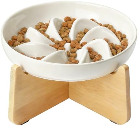 PETTOM Slow Feeder Cat Bowl with Stand, Ceramic Slow Eating Cat Bowl with Higher Edges, Elevated Cats Food Bowls for Dry and Wet Food Anti-Vomiting Puzzle Feeder for Healthy Eating Diet by PETTOM