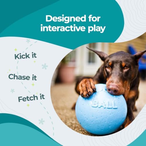 Jolly Pets Bounce-n-Play Dog Toy Ball, 6 Inches, Blueberry, All Breed Sizes - Image 3