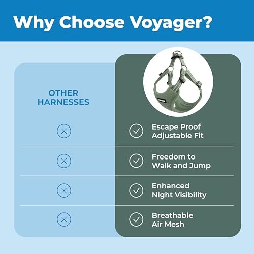 Voyager Step-in Flex Adjustable Dog Harness - Moss Green, Medium - Image 3