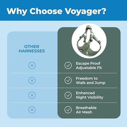 Voyager Step-in Flex Adjustable Dog Harness - Moss Green, Medium - Image 3