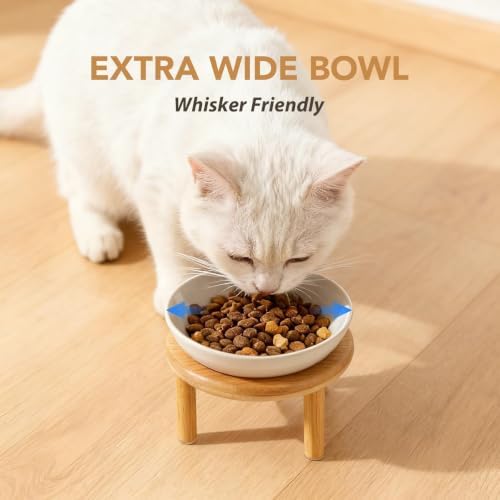 Havniva Elevated Cat Bowls, Ceramic Cat Bowl with Bamboo Stand Wide Opening - Image 6