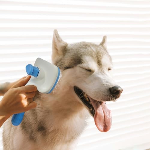 Pet Cleaning Deshedding Brush,Pet Hair Removal Brush for Shedding Massaging Grooming for Small Dogs,Cats,Rabbits(blue) - Image 2