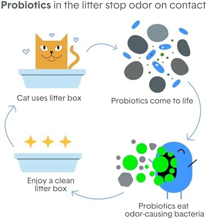 Boxie Probiotic Natural Lightweight Cat Litter 40+ Day Odor Control 11.5 lb - Image 6