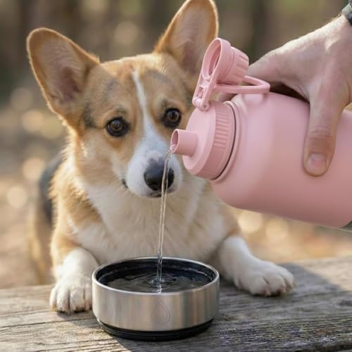 Portable Dog Water Bottle 32oz Insulated Travel Bottle for Small Dogs - Image 3
