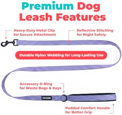 Best Pet Supplies Voyager Nylon Dog Leash - Lavender, Medium - Image 2